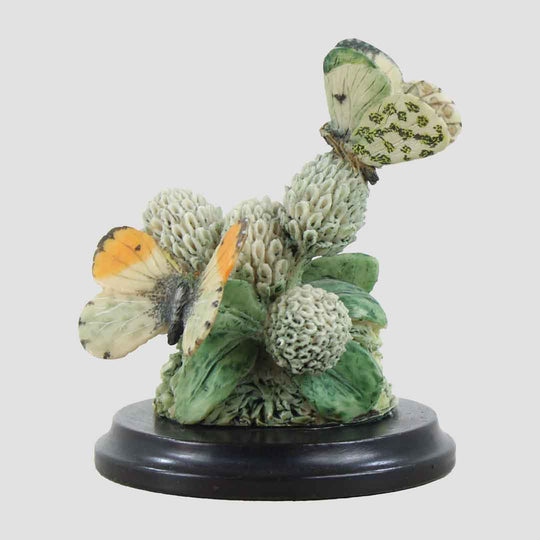 Orange Tips Border Fine Arts Butterflies