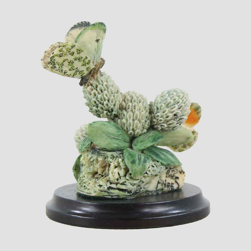 Orange Tips Border Fine Arts Butterflies