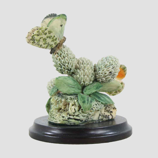 Orange Tips Border Fine Arts Butterflies