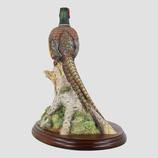 Woodland Majesty Border Fine Arts Pheasant