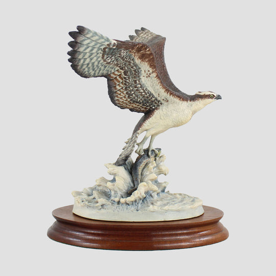 Osprey Style One Border Fine Arts