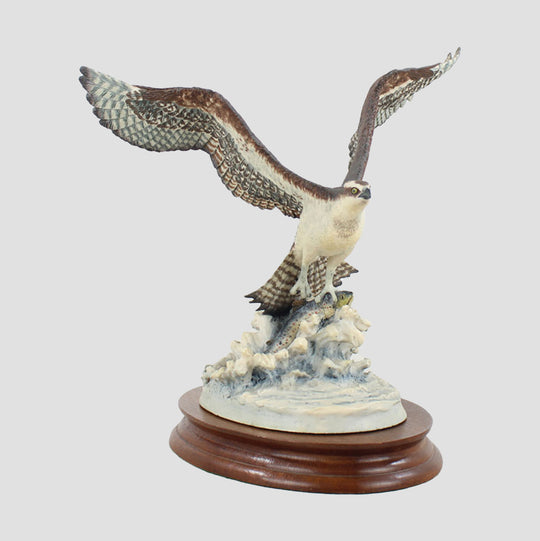 Osprey Style One Border Fine Arts