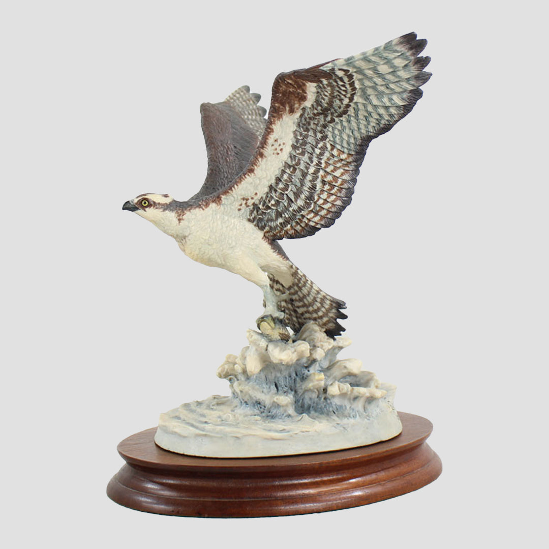 Osprey Style One Border Fine Arts