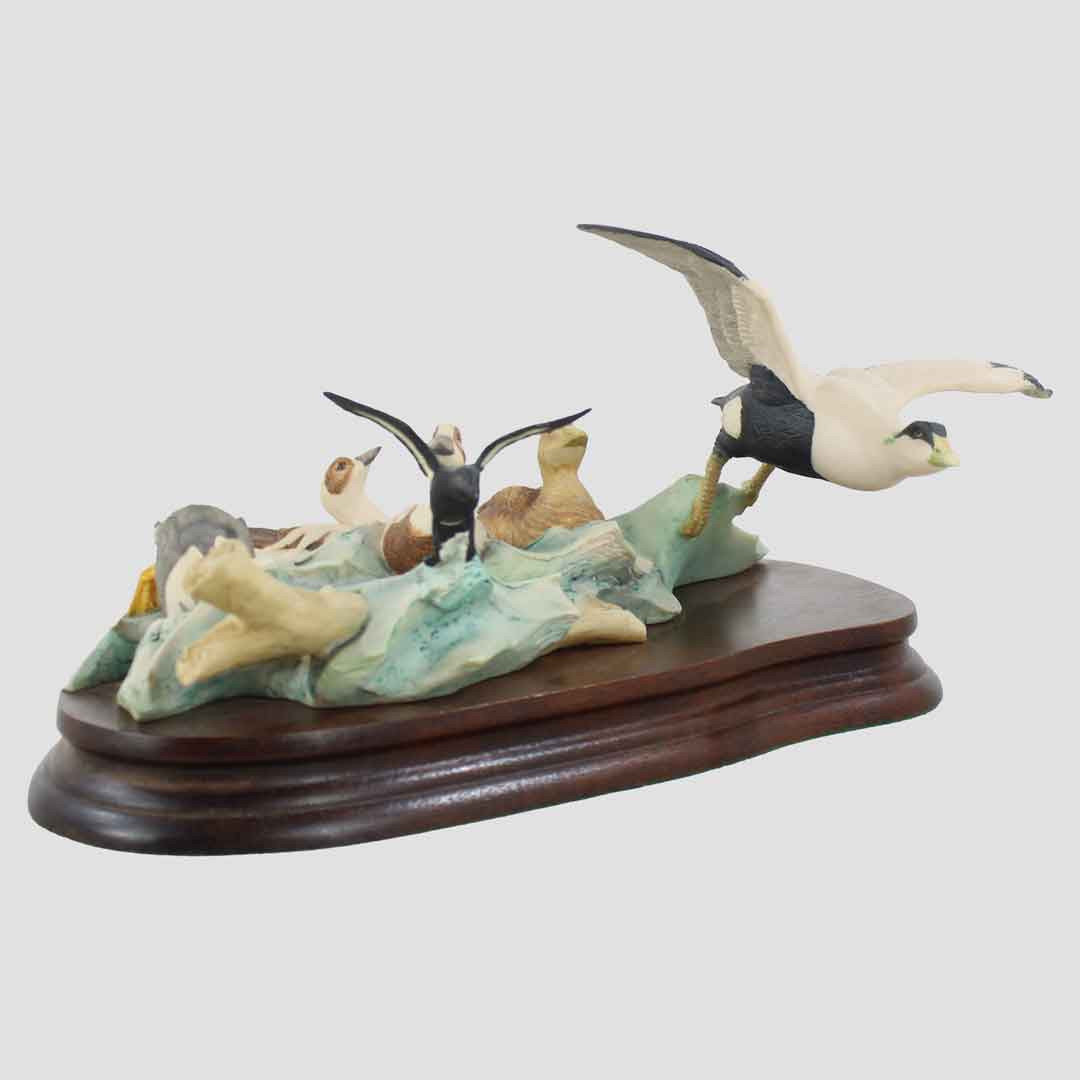 Winter At Sea Border Fine Arts Birds