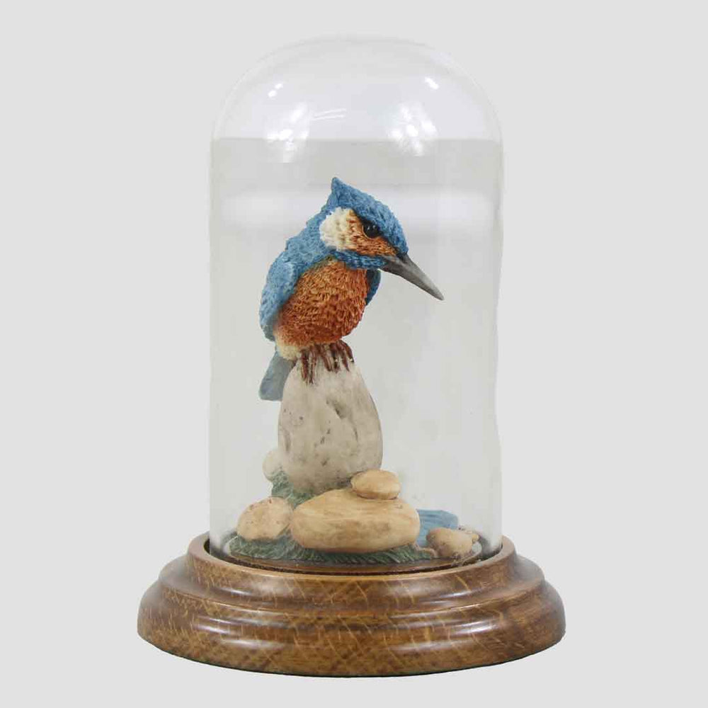 Kingfisher In Glass Dome By Country Artists