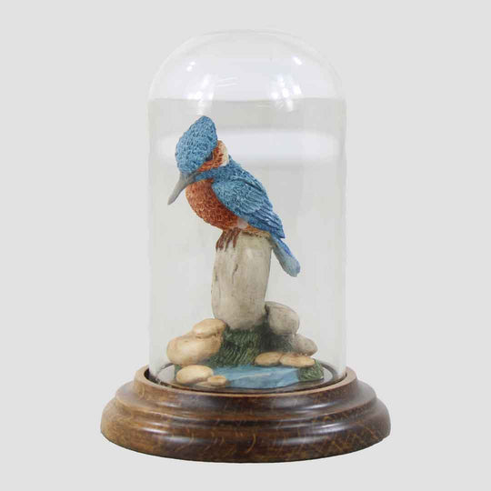 Kingfisher In Glass Dome By Country Artists