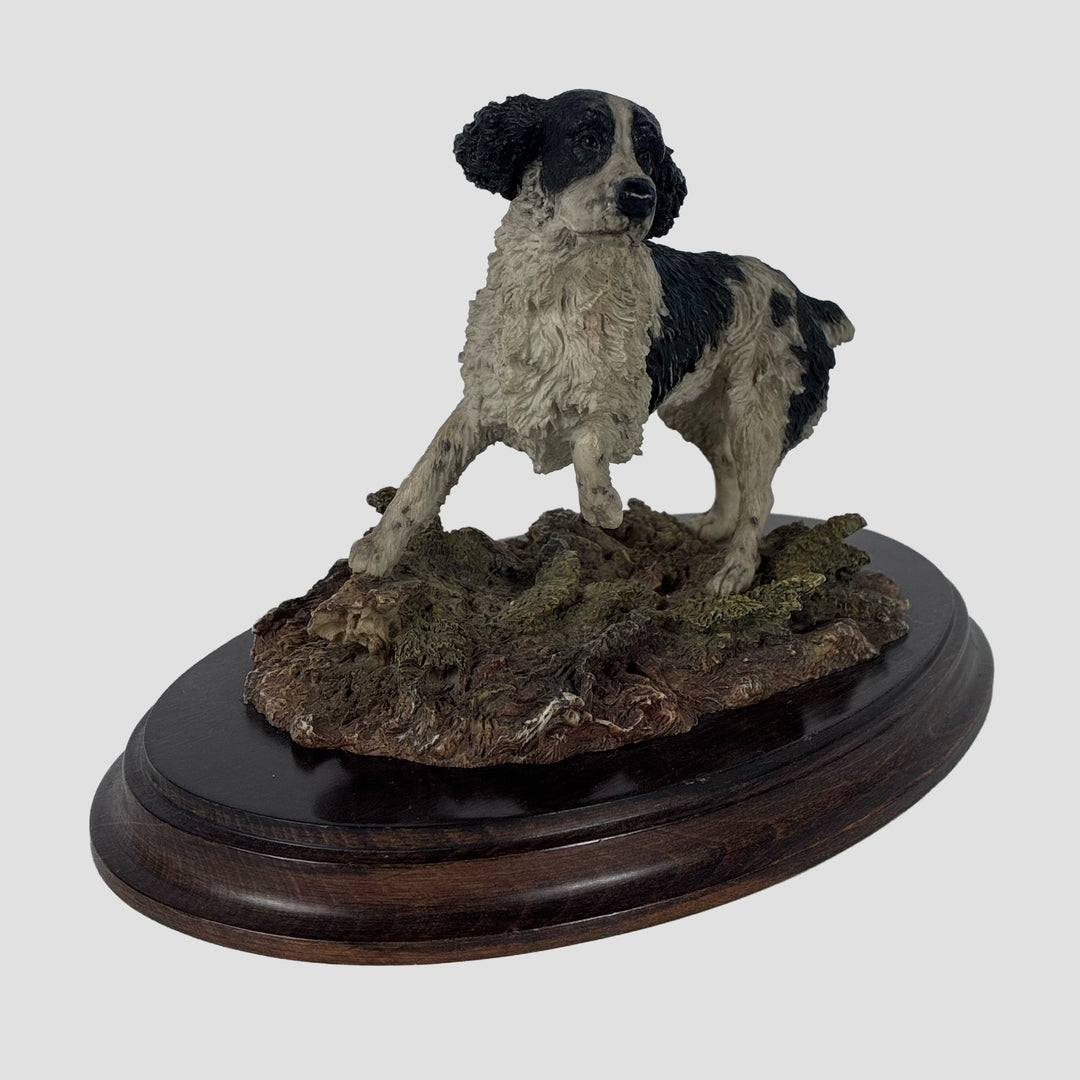 Springer Spaniel Black and White Standing Country Artist Model