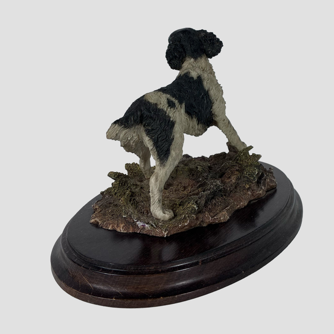 Springer Spaniel Black and White Standing Country Artist Model