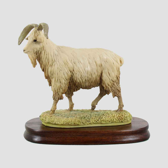 Cashmere Goat Border Fine Arts