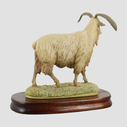 Cashmere Goat Border Fine Arts