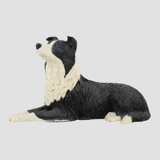 Border Collie Lying Border Fine Arts