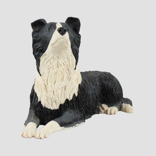 Border Collie Lying Border Fine Arts