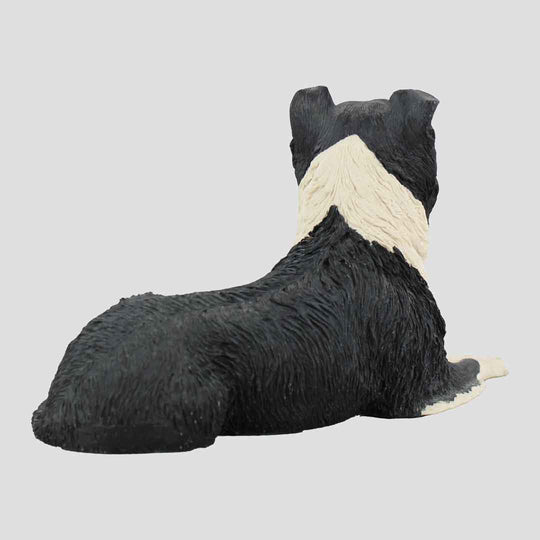 Border Collie Lying Border Fine Arts