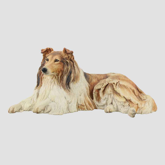 Rough Collie Border Fine Arts Dog