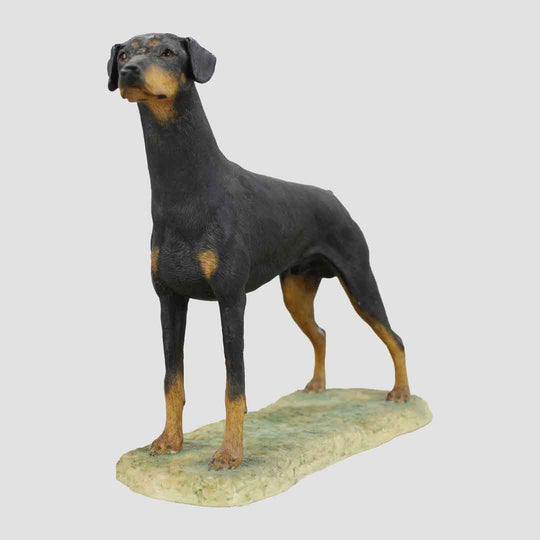 Doberman Pinscher Border Fine Arts Dog
