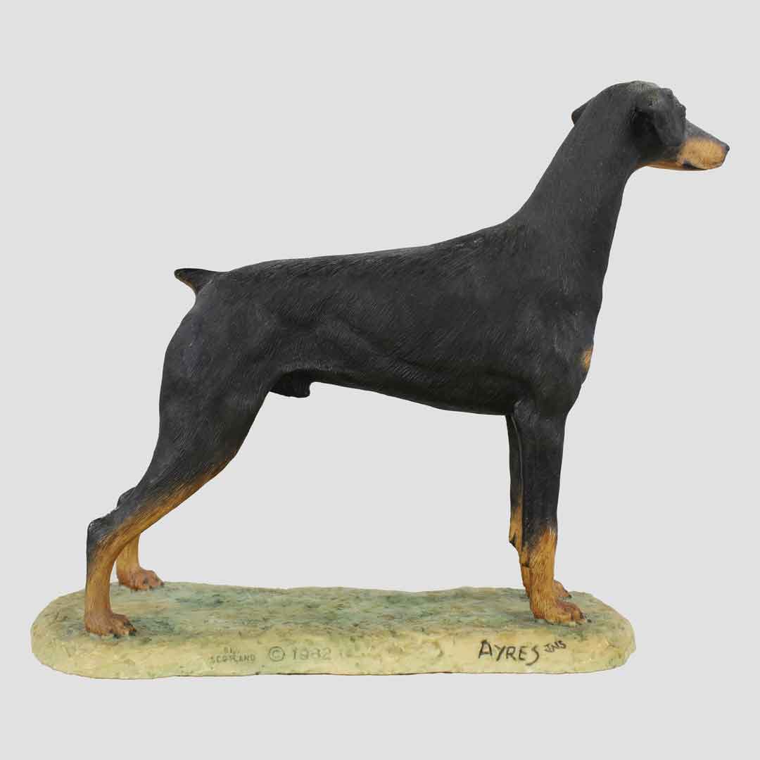 Doberman Pinscher Border Fine Arts Dog