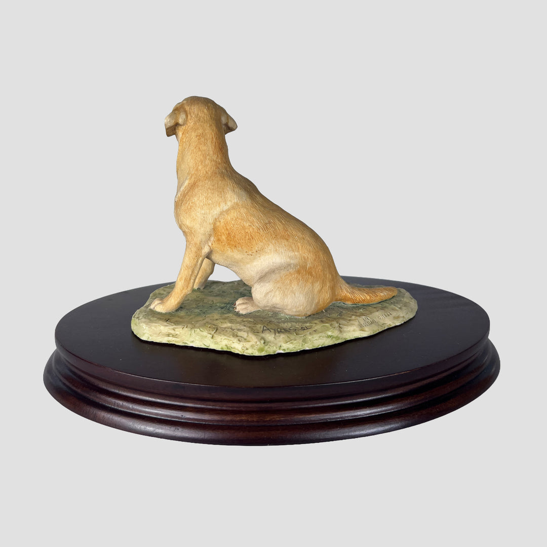 Labrador Seated Style One Yellow Border Fine Arts