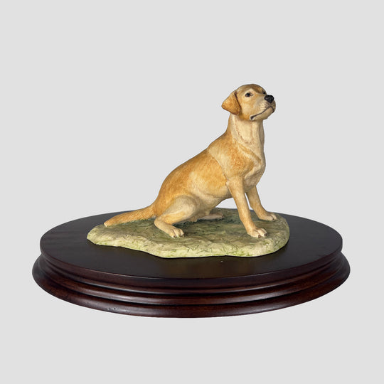 Labrador Seated Style One Yellow Border Fine Arts