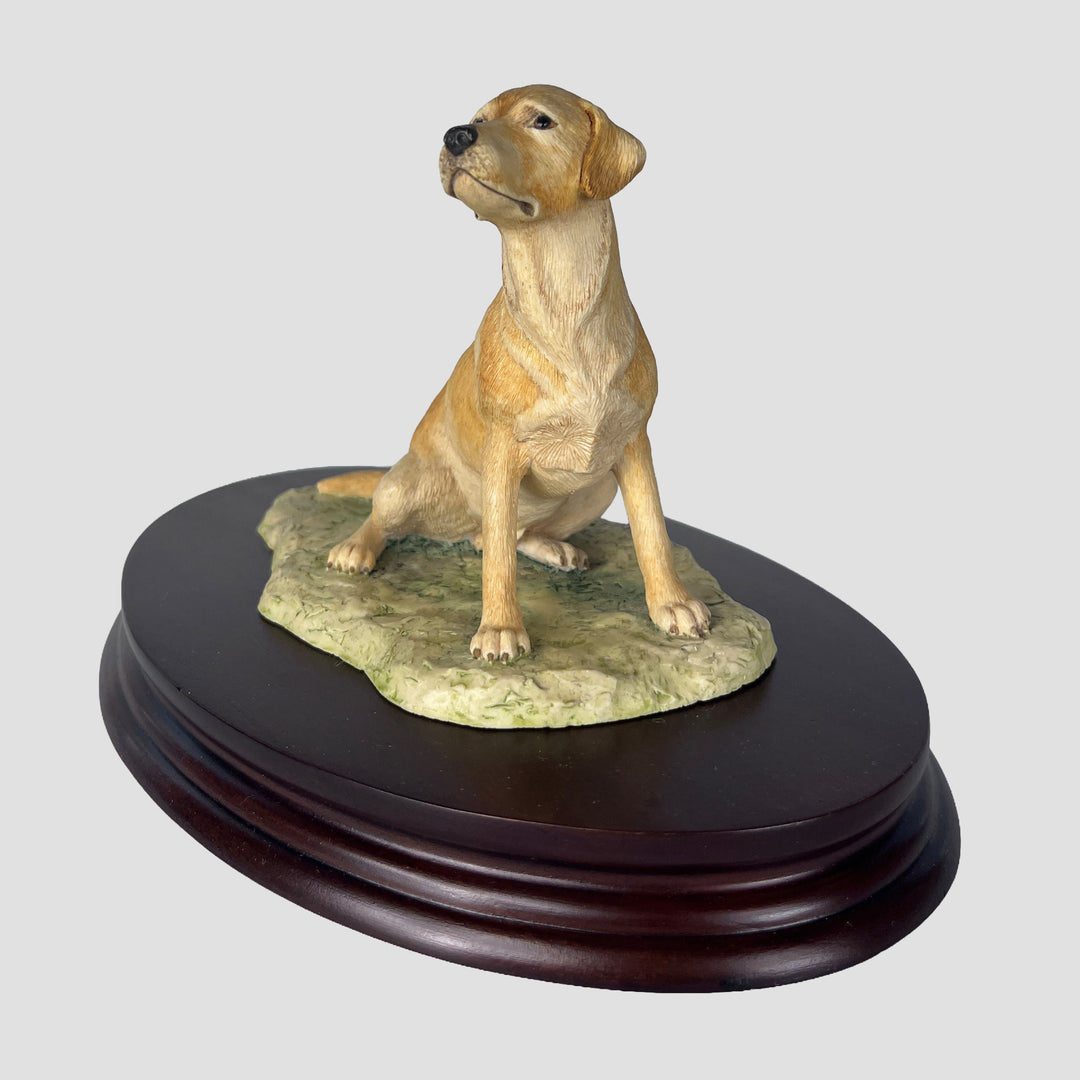 Labrador Seated Style One Yellow Border Fine Arts