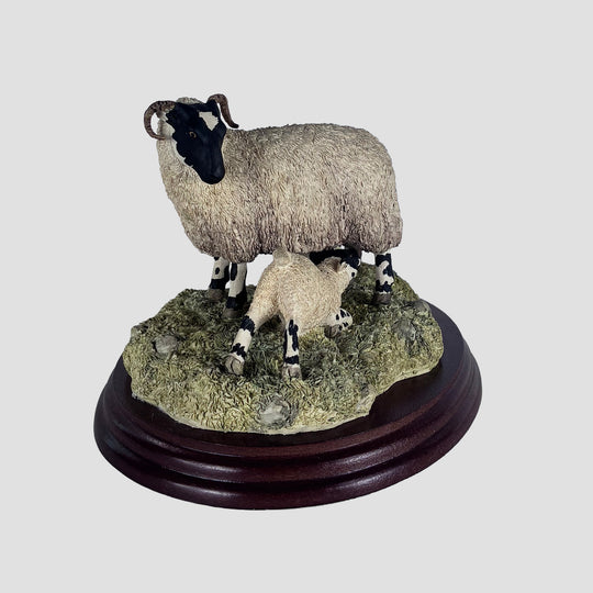 Double Take Border Fine Arts Sheep Model