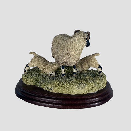 Double Take Border Fine Arts Sheep Model