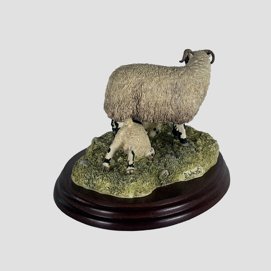Double Take Border Fine Arts Sheep Model
