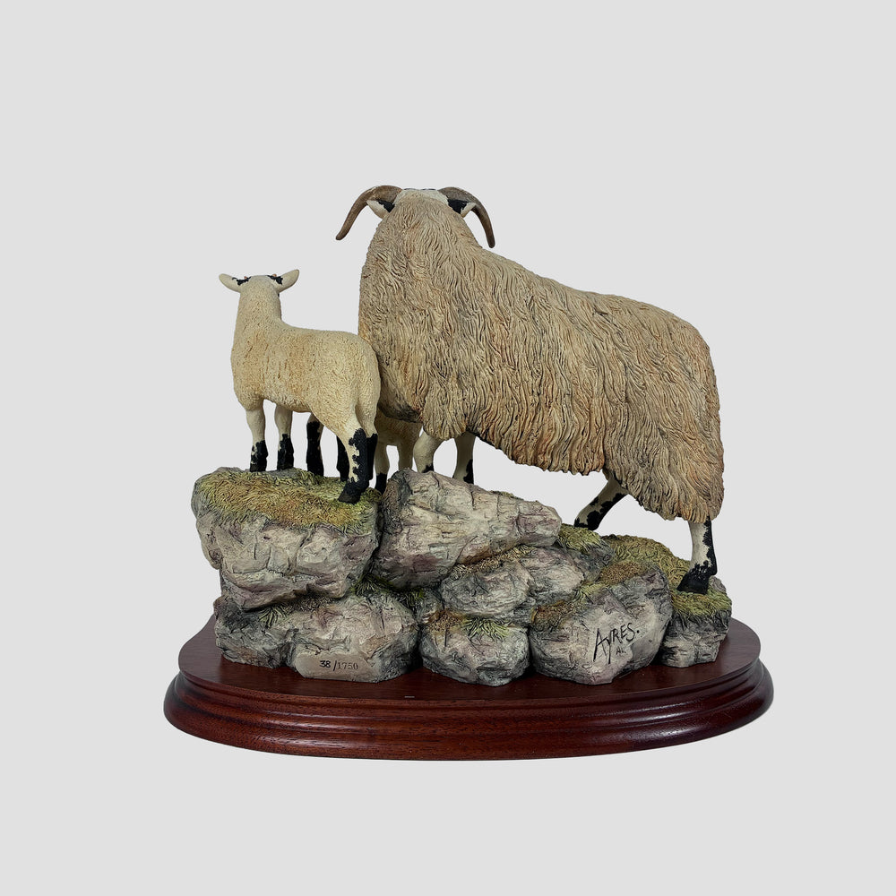 A Ewe and A Pair Border Fine Arts Black Faced