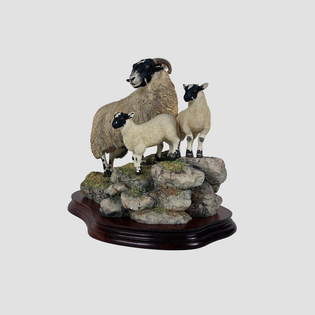 A Ewe and A Pair Border Fine Arts Black Faced