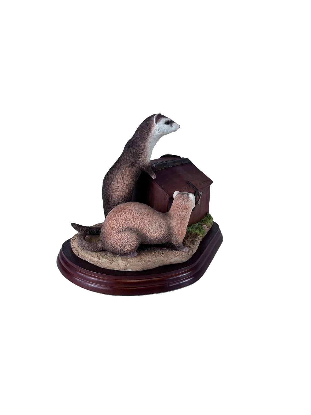 Ferrets Model Border Fine Arts