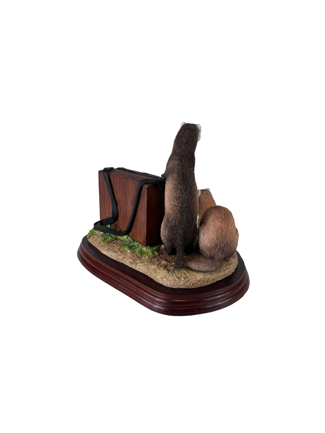 Ferrets Model Border Fine Arts