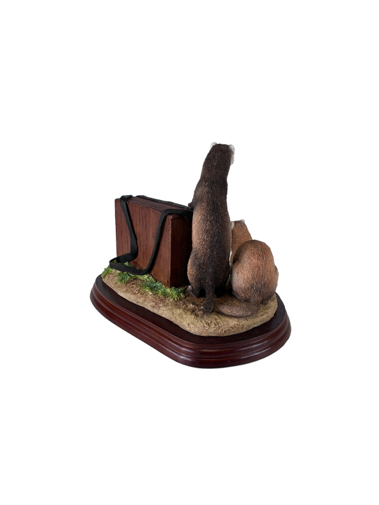 Ferrets Model Border Fine Arts