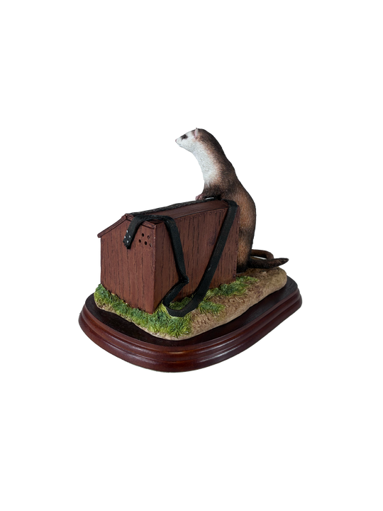 Ferrets Model Border Fine Arts