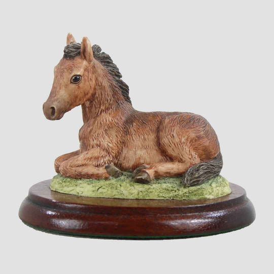 Foal (Brown) Border Fine Arts Horses