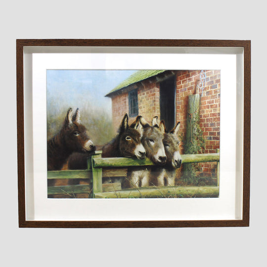 Donkey's Framed Print