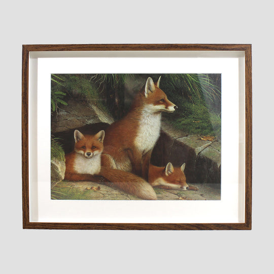 Fox And Pups Framed Print