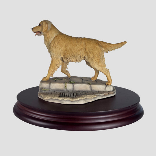 Golden Retriever Walking by Teviotdale
