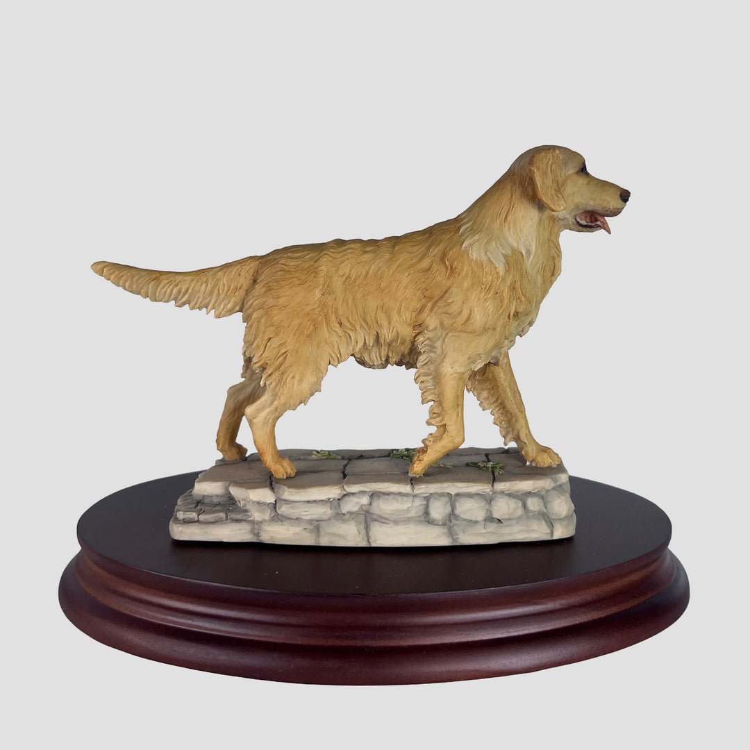 Golden Retriever Walking by Teviotdale