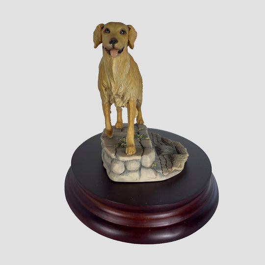 Golden Retriever Walking by Teviotdale