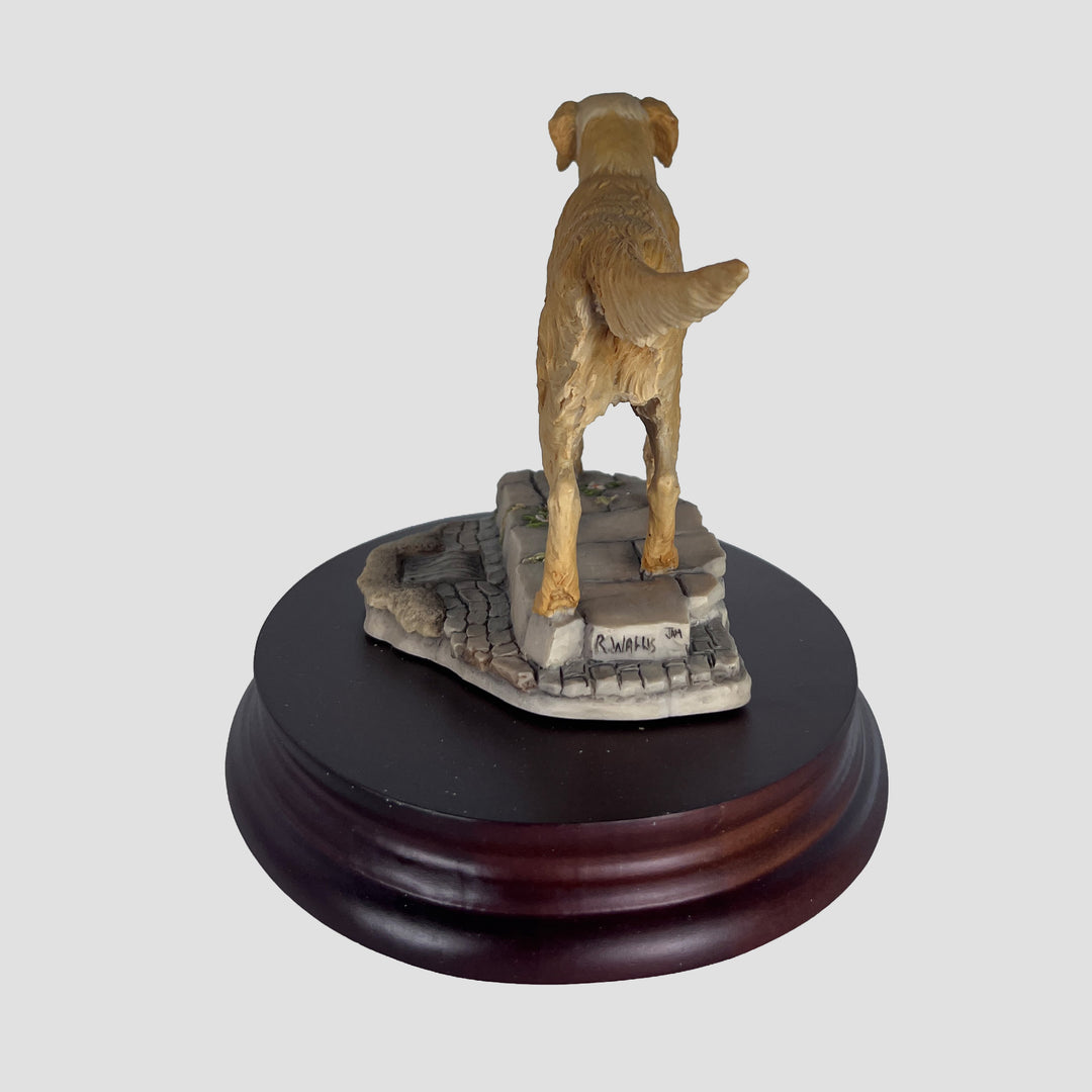 Golden Retriever Walking by Teviotdale