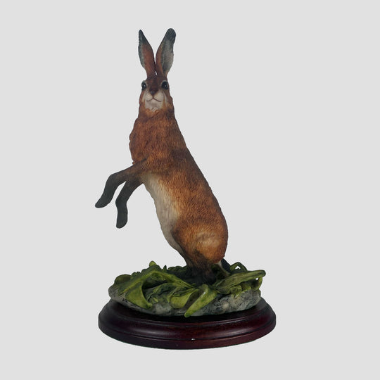 Hare Standing Border Fine Arts Model