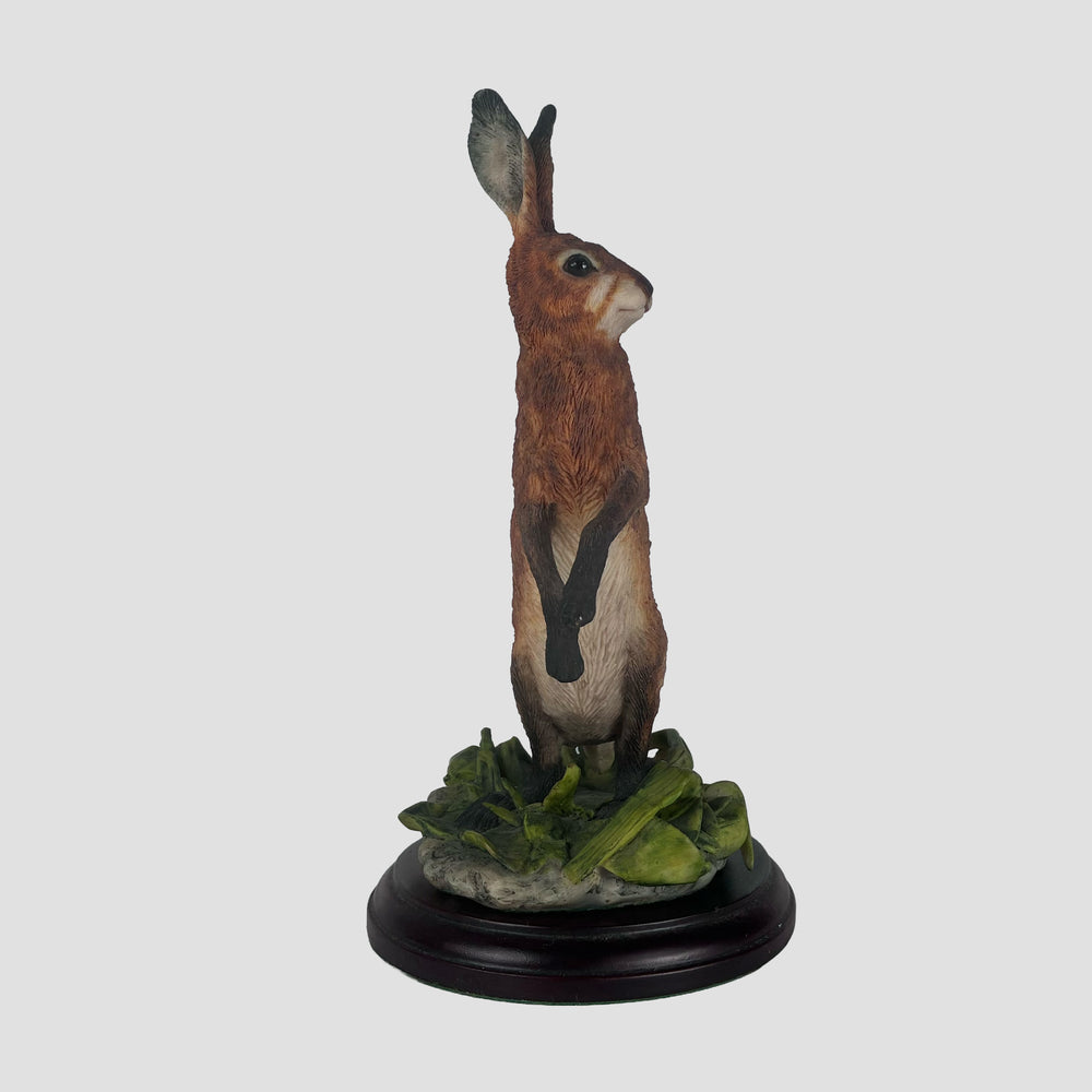 Hare Standing Border Fine Arts Model