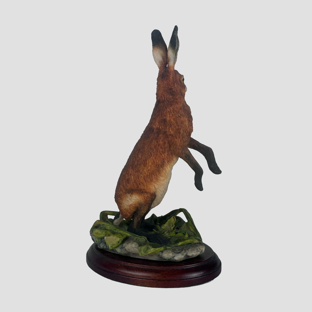 Hare Standing Border Fine Arts Model