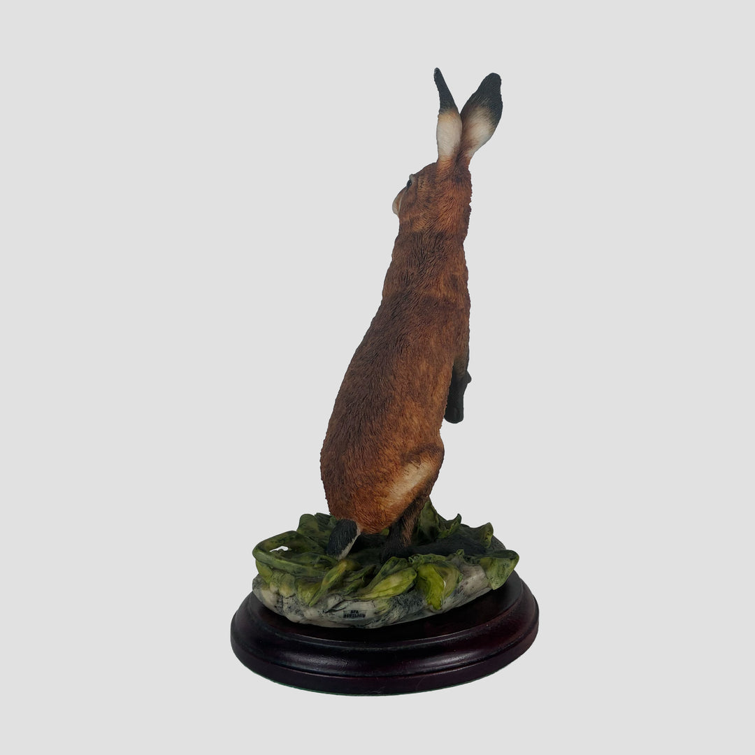 Hare Standing Border Fine Arts Model