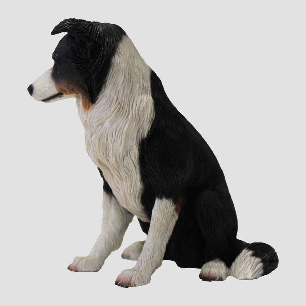 Border Collie Seated Tri-Colour Model
