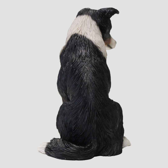 Border Collie Seated Tri-Colour Model
