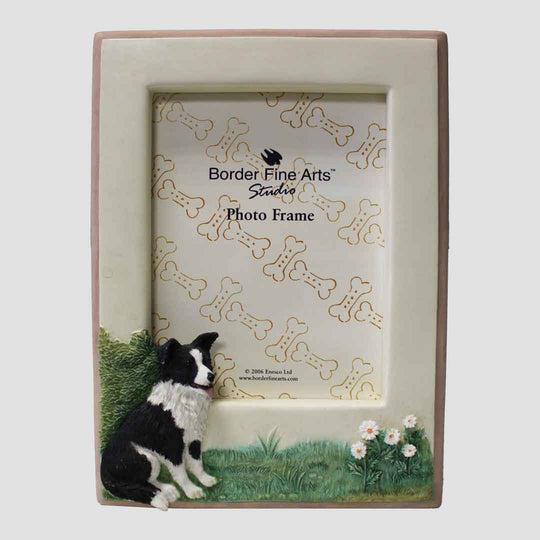 Border Collie Photo Frame Border Fine Arts Dog