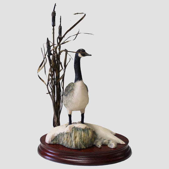 Canada Goose Border Fine Arts Birds