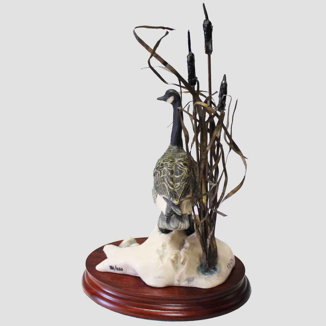 Canada Goose Border Fine Arts Birds