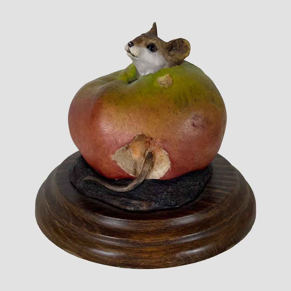 Mouse in an Apple by Country Artists