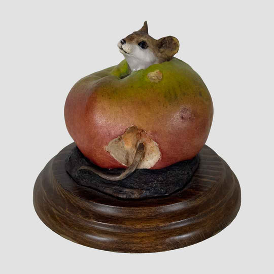 Mouse in an Apple by Country Artists